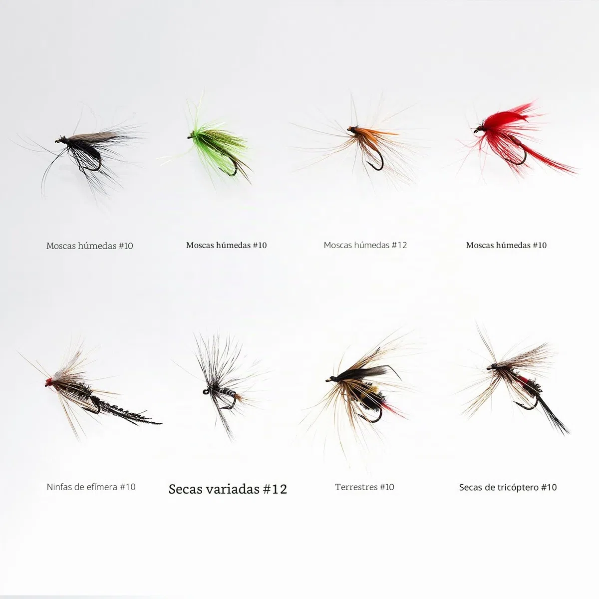 BASSDASH Kit de Moscas de Pesca con Mosca, Surtido de Moscas, Pesca de lubina con Caja de Moscas, 36/64/72/76/80/96 Piezas con Moscas secas/húmedas, ninfas, serpentinas, Popper