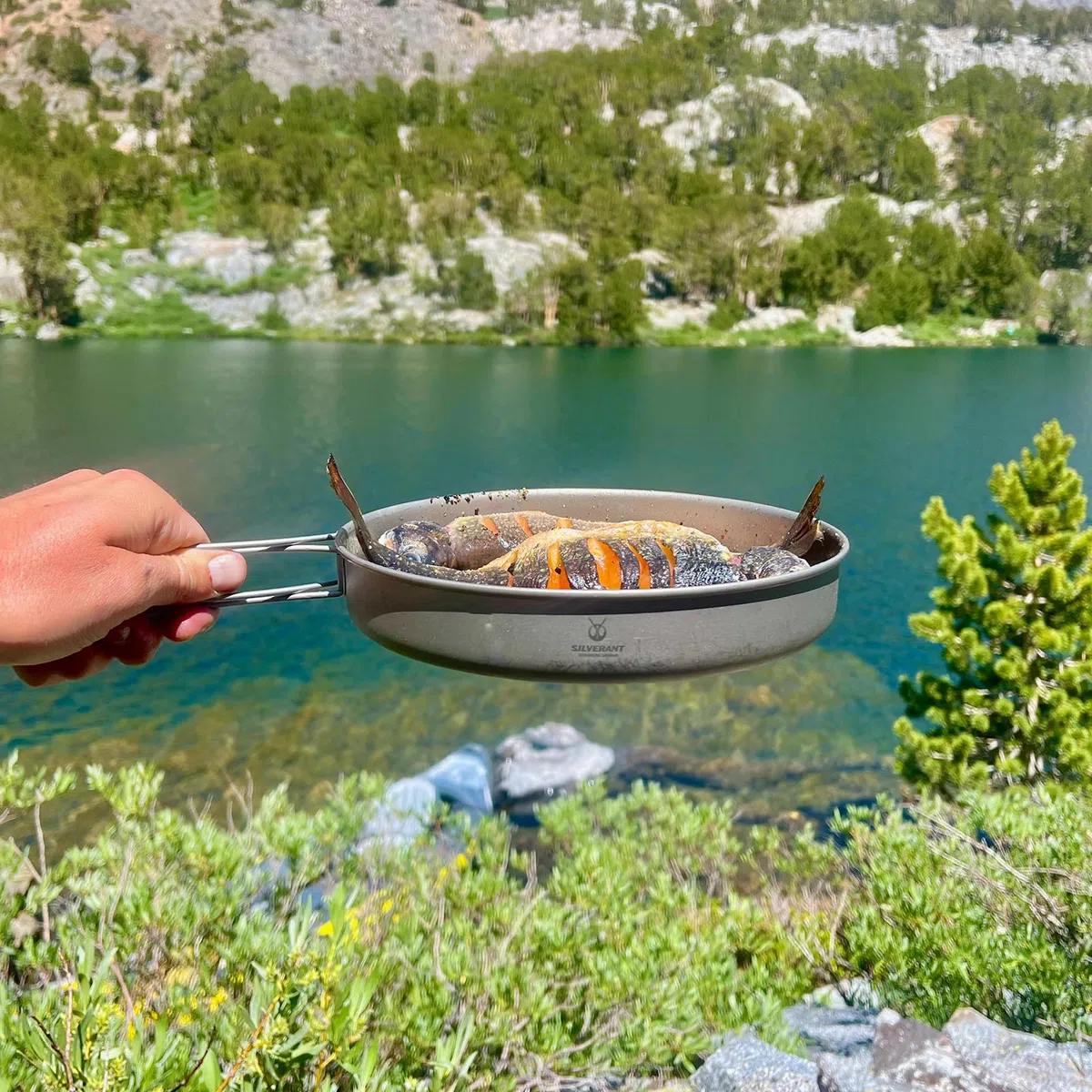 SILVERANT Platos de camping de titanio, vajilla de exterior con asa plegable, utensilios de cocina portátiles para picnic, senderismo y mochilerismo (1000 ml)