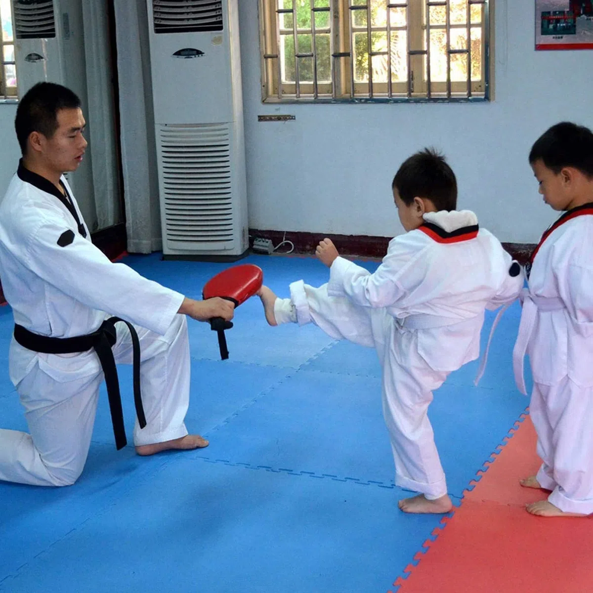 Vbest life 2 Pcs Durable Taekwondo Pad Training Pad (Negro), aplicable en la práctica de bateo de Taekwondo, Artes Marciales, etc