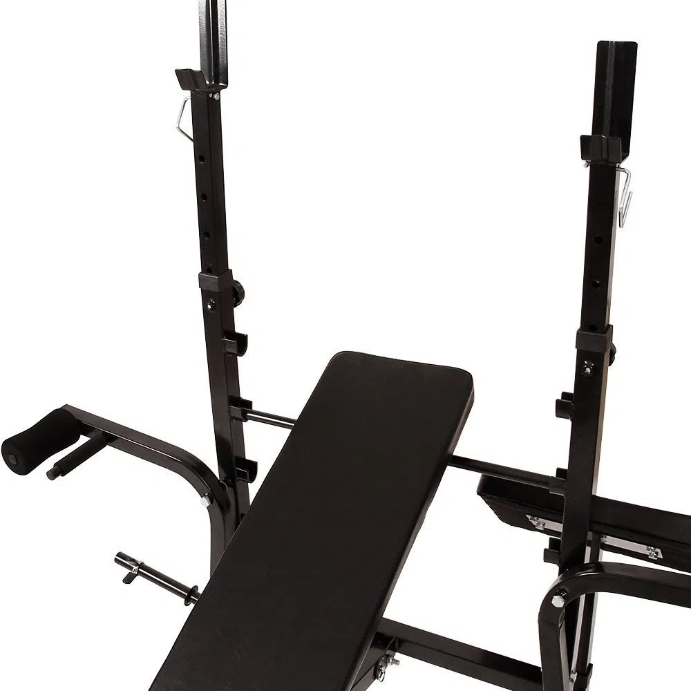 Banco de Pesas Multifunción - Torre de Poleas, Press de Pecho, Banco Predicador & Flexiones y Extensión de Piernas (Plegable y Ajustable) - Musculación, Ejercicios