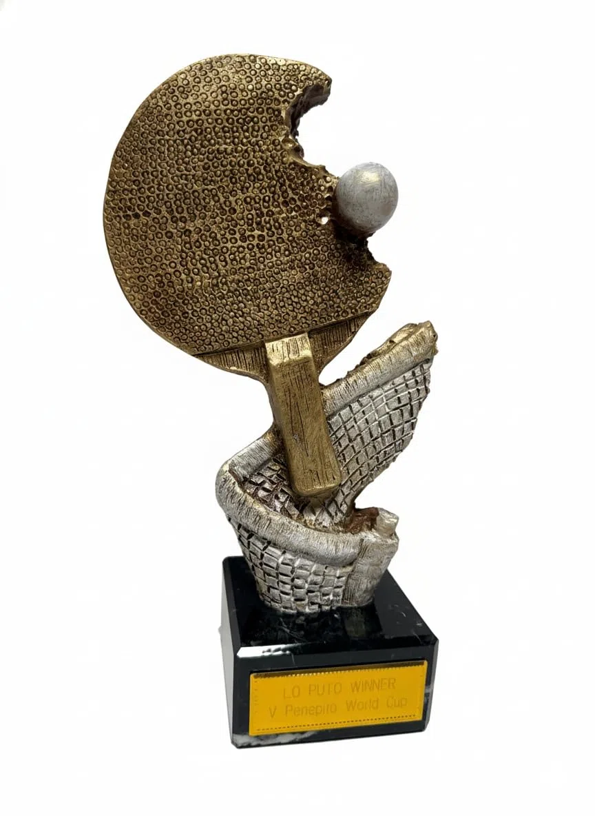 Trofeo de Tenis de Mesa GRABADO Premio de Ping Pong de 24cm de altura