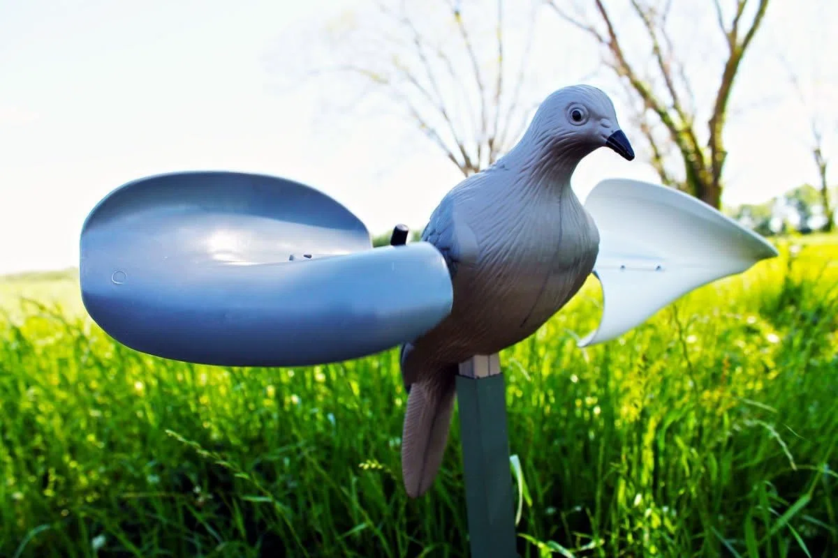 Mojo Outdoors Dove Decoys for Dove Hunting