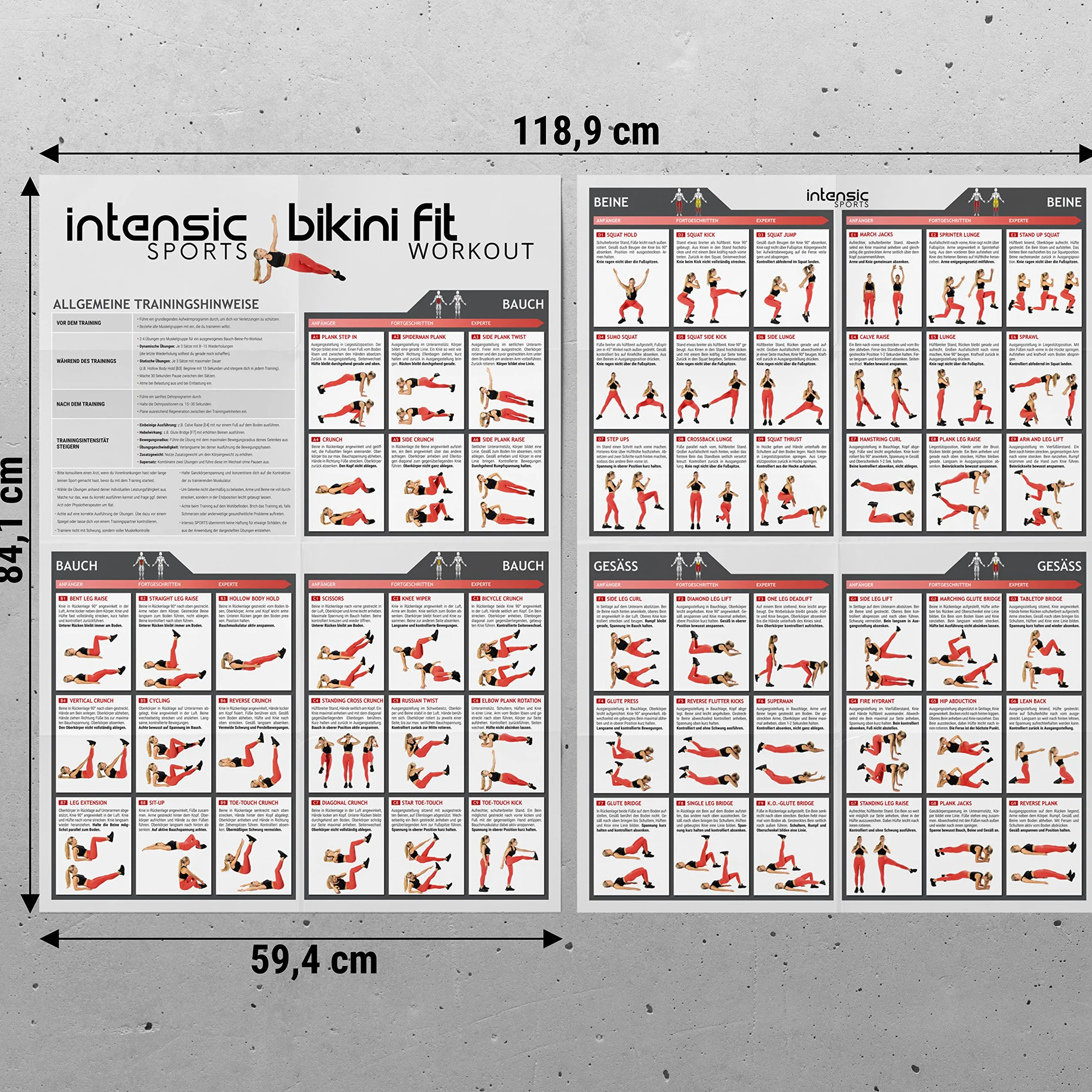 intensic SPORTS Póster de entrenamiento de abdomen y piernas, 60 ejercicios de fitness para casa, construcción muscular, peso corporal