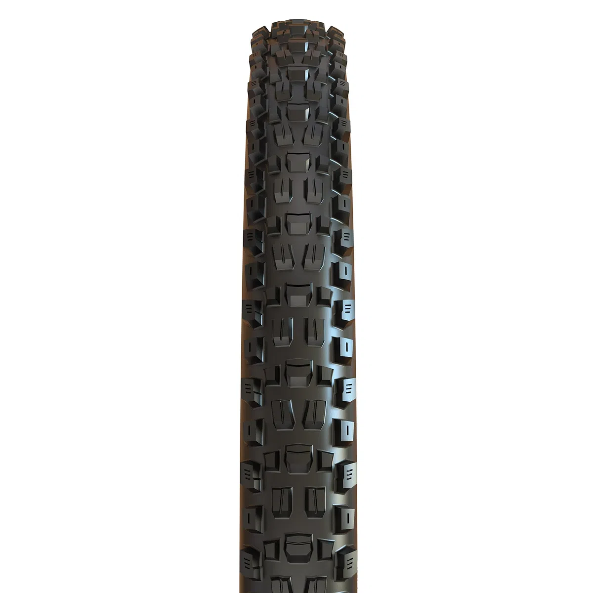 Maxxis Assegai 2.50 WT Folding Dual Compound Exo/TR Tyre - Black