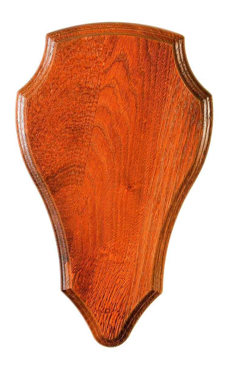 Januel – Parche para Trofeo de Caza – Escudo para Matanza de Caballo – Trofeo cráneo – Madera de Roble – Acabado de Roble Dorado – Altura 30 cm – Ancho 18 cm