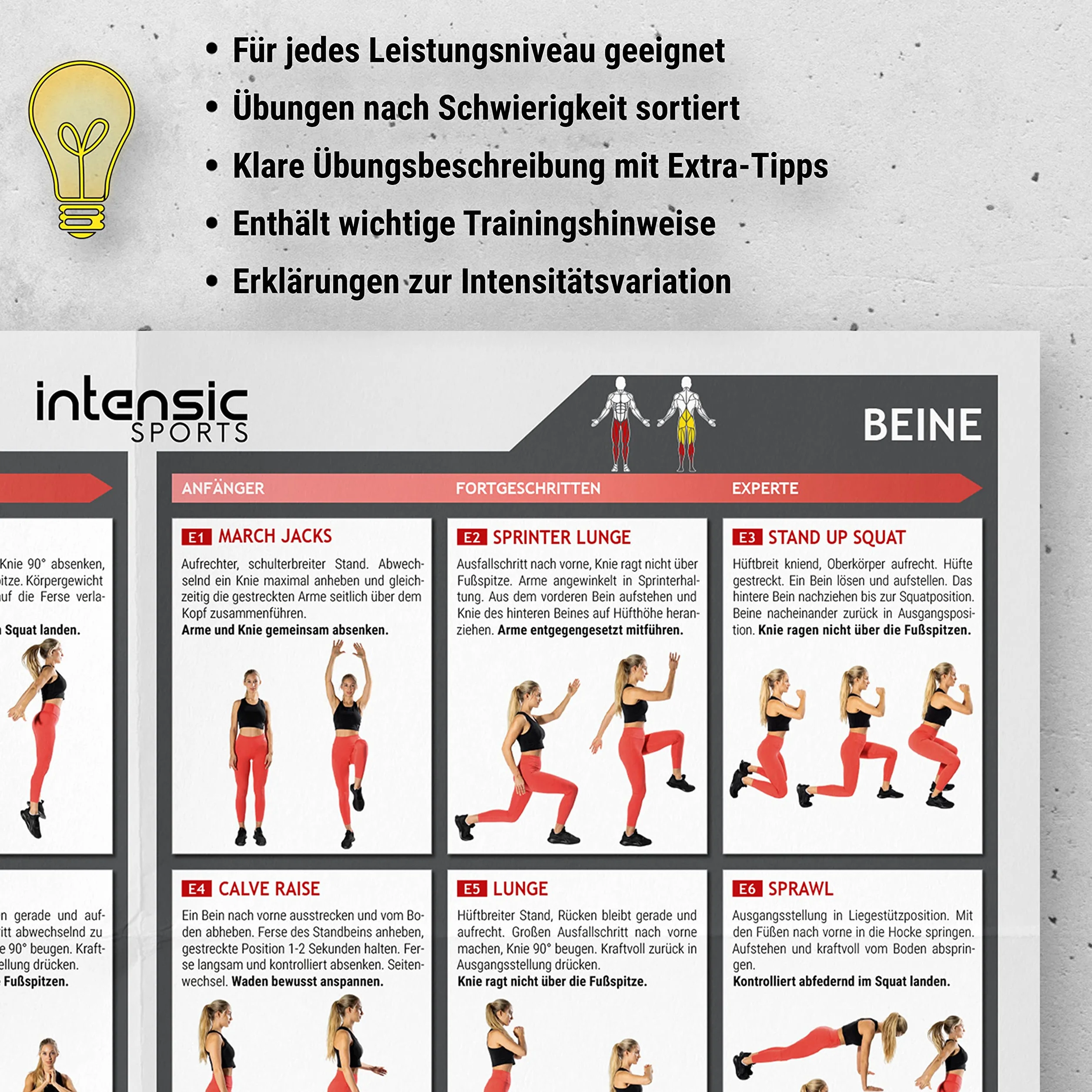 intensic SPORTS Póster de entrenamiento de abdomen y piernas, 60 ejercicios de fitness para casa, construcción muscular, peso corporal