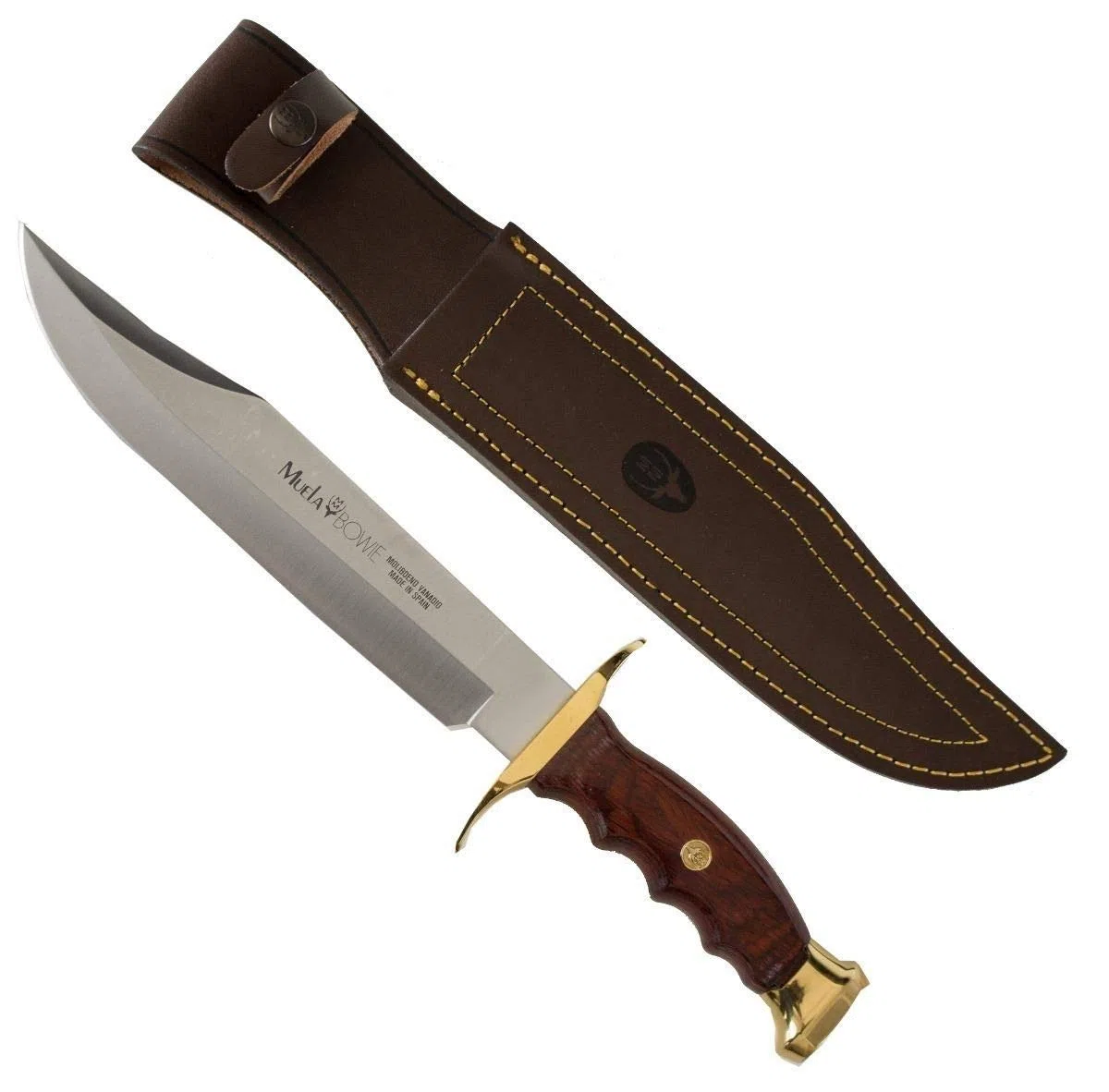Muela Cuchillo de caza BW-22 con hoja de acero inoxidable MoVa de 22 cm y empuñadura de madera de coral para Caza, Pesca, Supervivencia y Bushcraft + Portabotellas de regalo