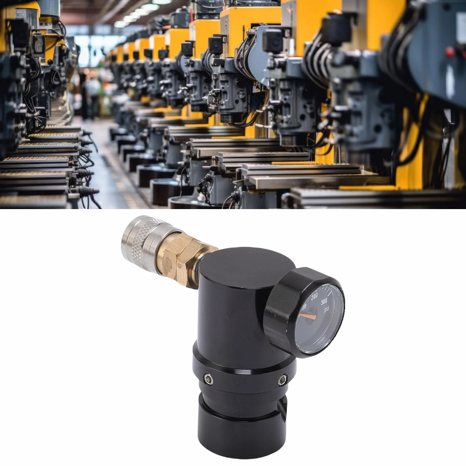 TOPINCN Mini Regulador de CO2, Regulador de Presión Refrescante de Baja Presión con Hilo G1/2-14, Ajustable de 20 PSI a 200psi