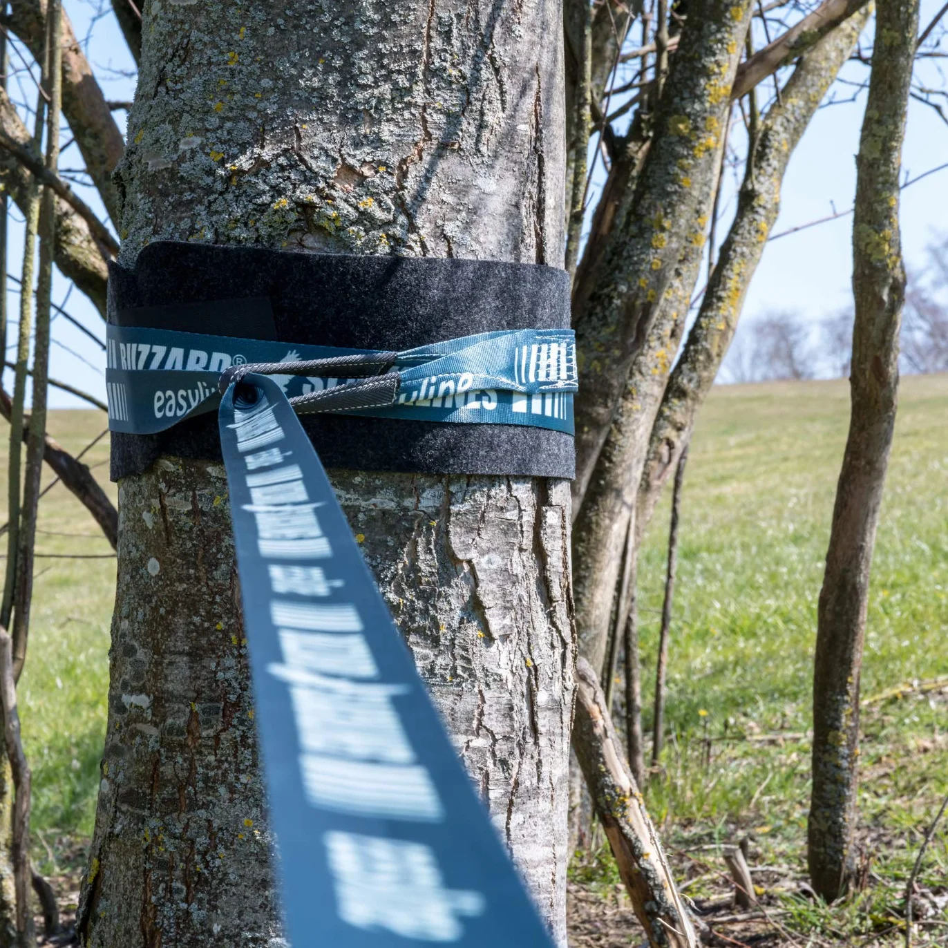 BUZZARD easyline - Allround Kits de Slackline por principantes