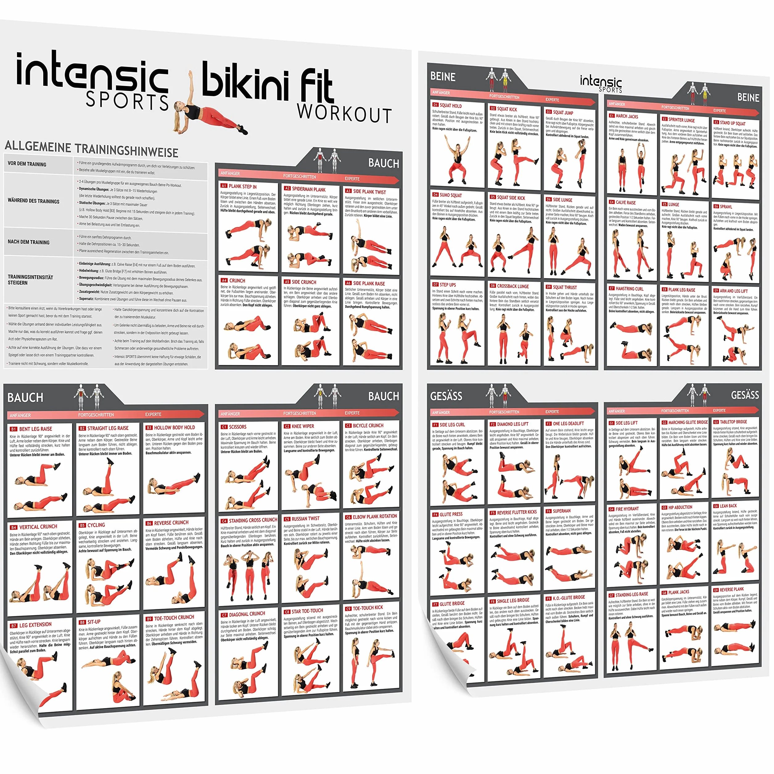 intensic SPORTS Póster de entrenamiento de abdomen y piernas, 60 ejercicios de fitness para casa, construcción muscular, peso corporal