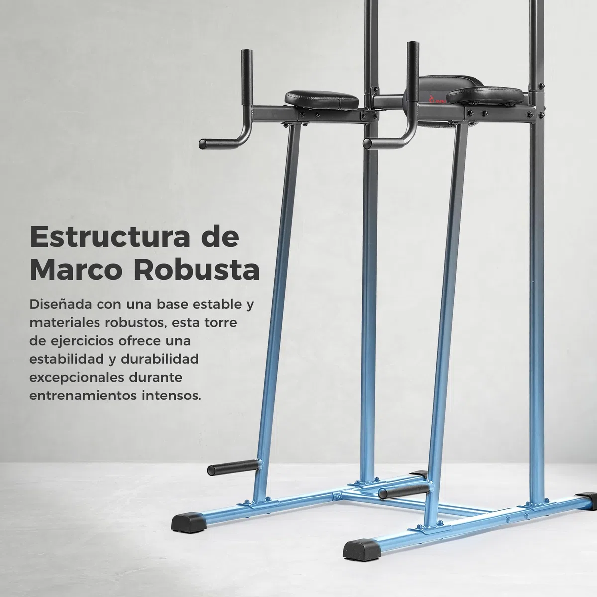 Sunny Health & Fitness Torre de Potencia, Barra para Fondos, Estación de Paralelas con Asistencia para Flexiones y Dominadas, con Agarre Opcional Tipo Escalada