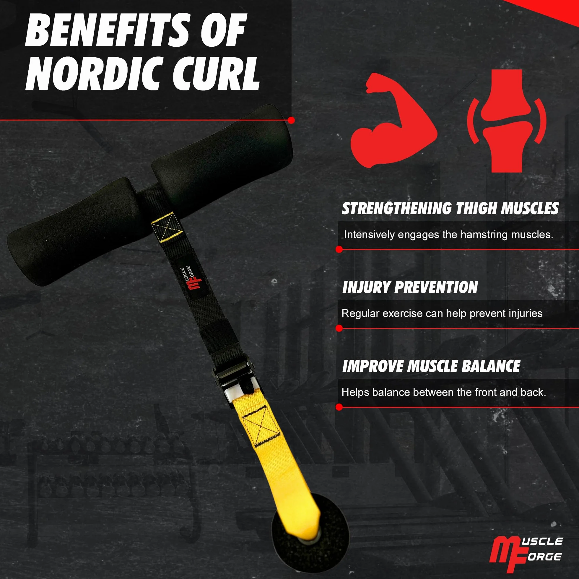 Nordic Curl Strap – Correa Ajustable Curl Nórdico, Isquios y Sentadillas Sissy – Fortalece Piernas, Glúteos, Core – Anclaje Puerta con Acolchado Tobillos – Hogar, Gym – Carga 180 Kg