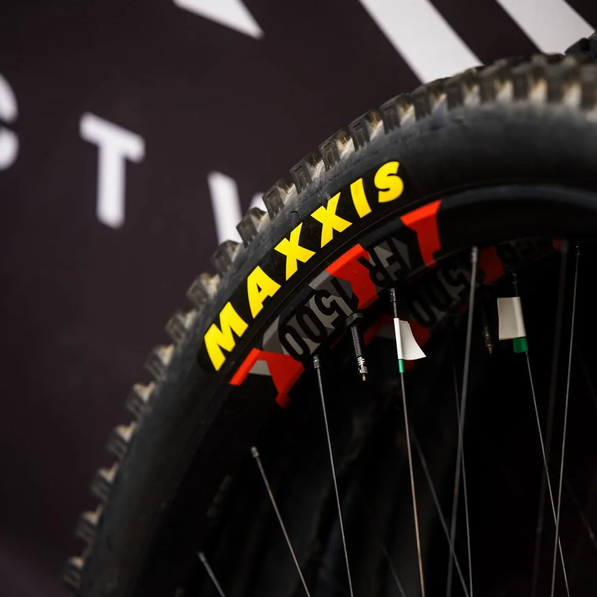 Maxxis Creepy Crawler Tire