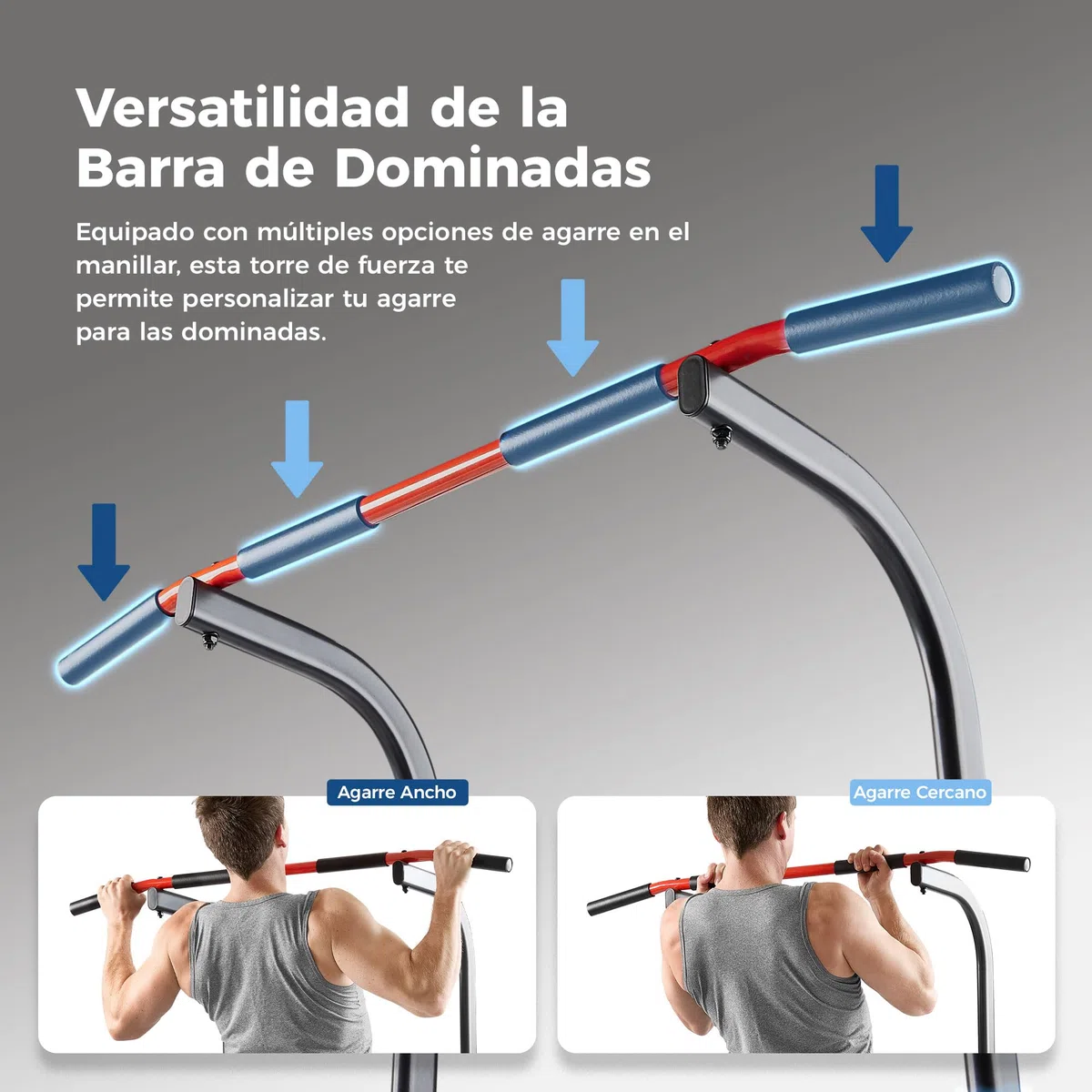 Sunny Health & Fitness Torre de Potencia, Barra para Fondos, Estación de Paralelas con Asistencia para Flexiones y Dominadas, con Agarre Opcional Tipo Escalada