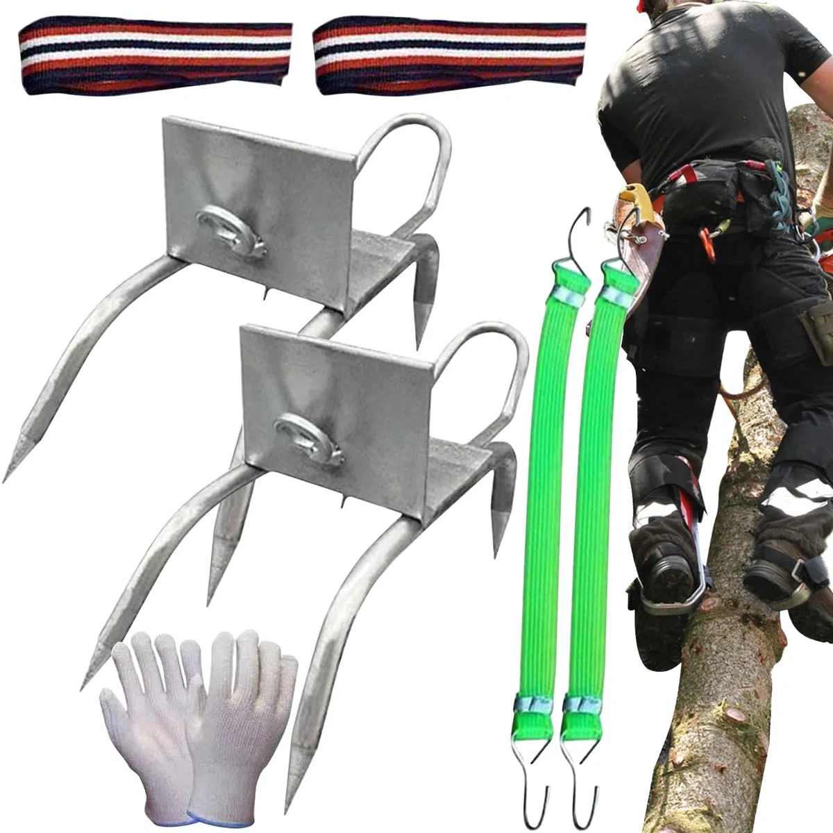 Pinchos para trepar árboles, Equipo de Escalada de árboles, Zapatos para Garras de Gato, Equipo Antideslizante portátil para podadores de árboles