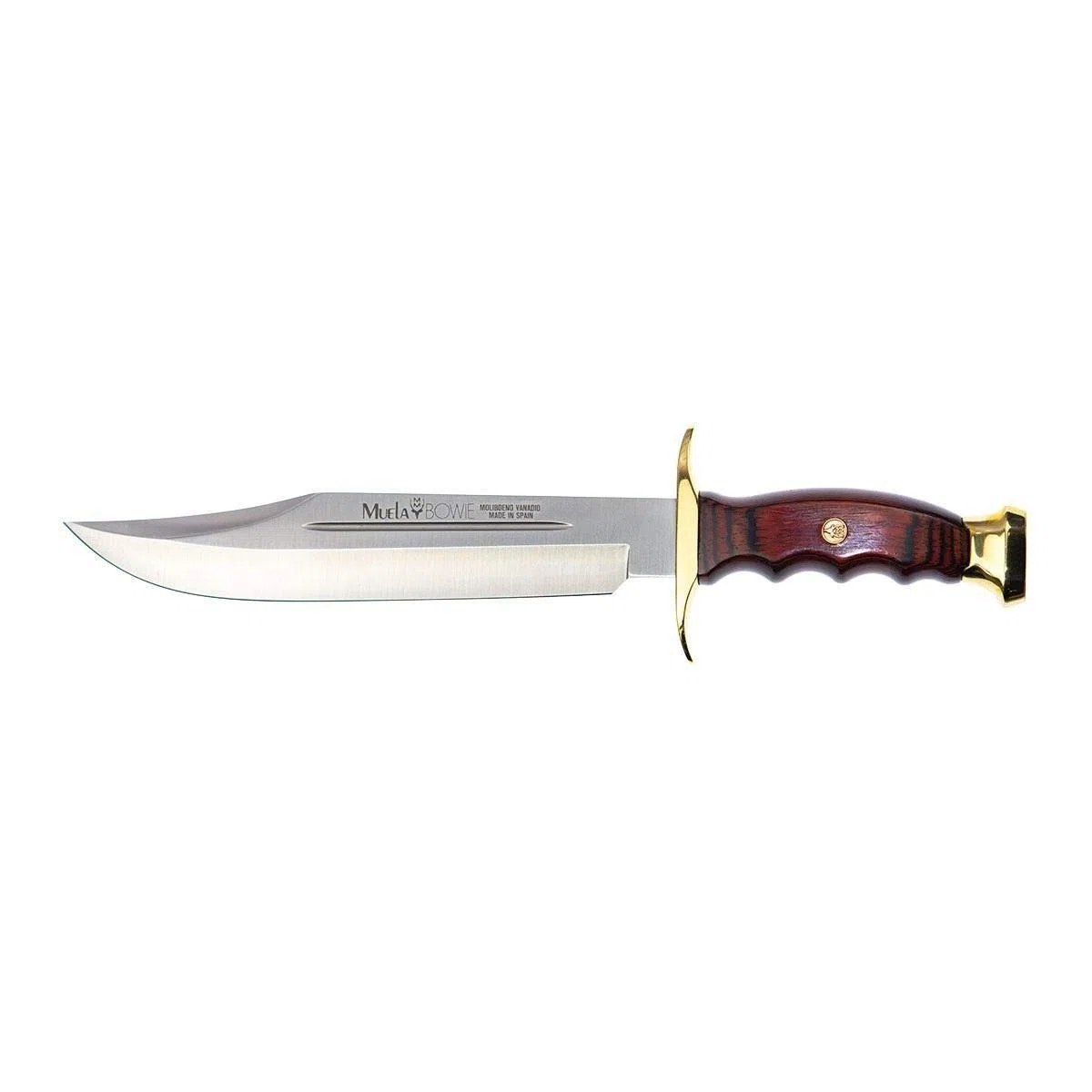 Muela Cuchillo de caza BW-22 con hoja de acero inoxidable MoVa de 22 cm y empuñadura de madera de coral para Caza, Pesca, Supervivencia y Bushcraft + Portabotellas de regalo
