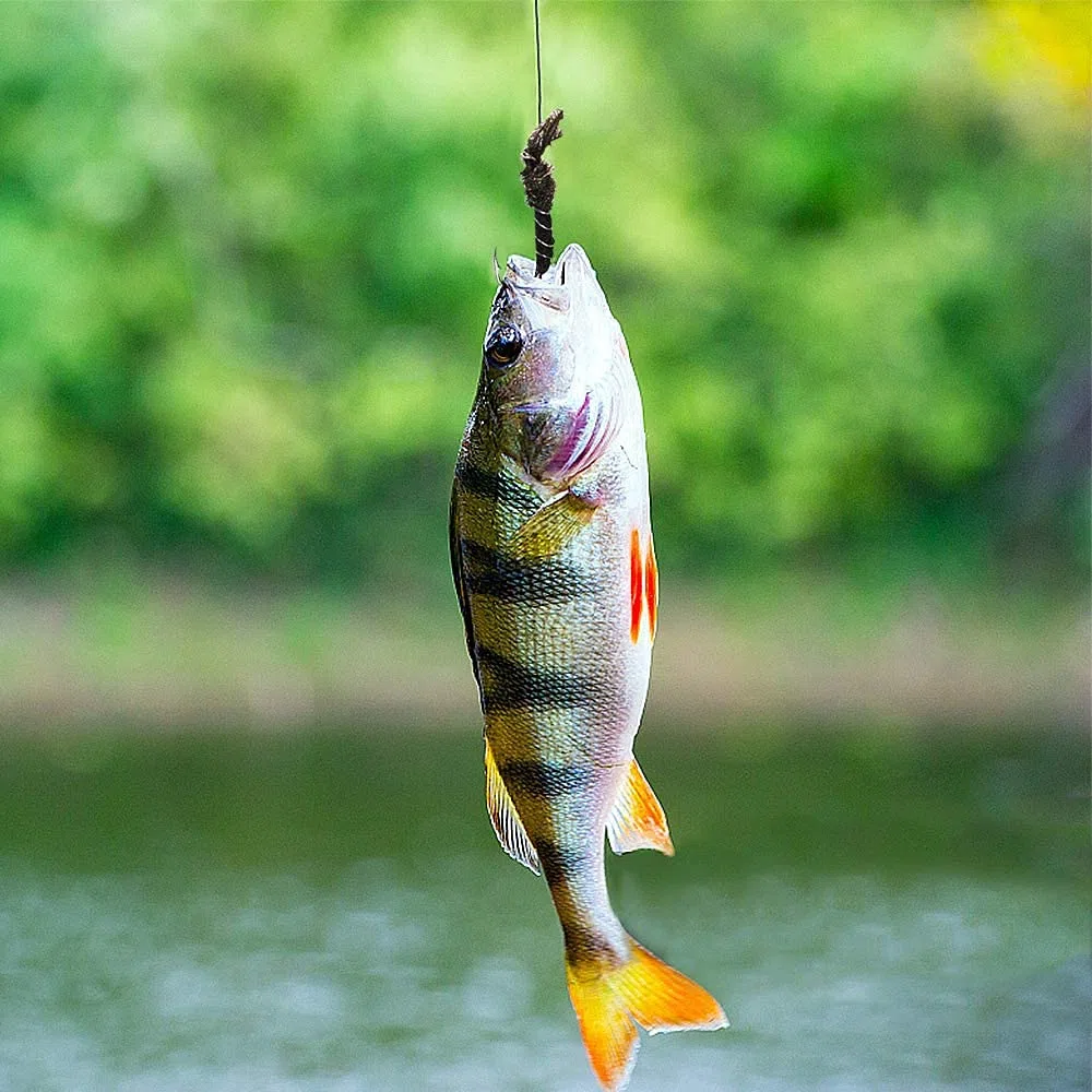 Kit de pesca con mosca de 100 piezas, surtido de moscas secas y húmedas con caja impermeable para pesca de truchas