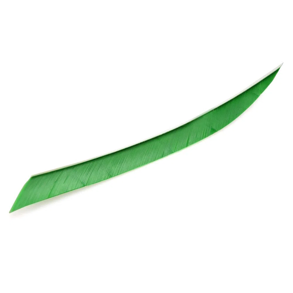wolfman 50 Piezas Tiro con Arco Pluma Fletching de Flechas 5 Pulgadas Paletas de Pavo Natural ala Derecha para Caza Flecha de Orientación