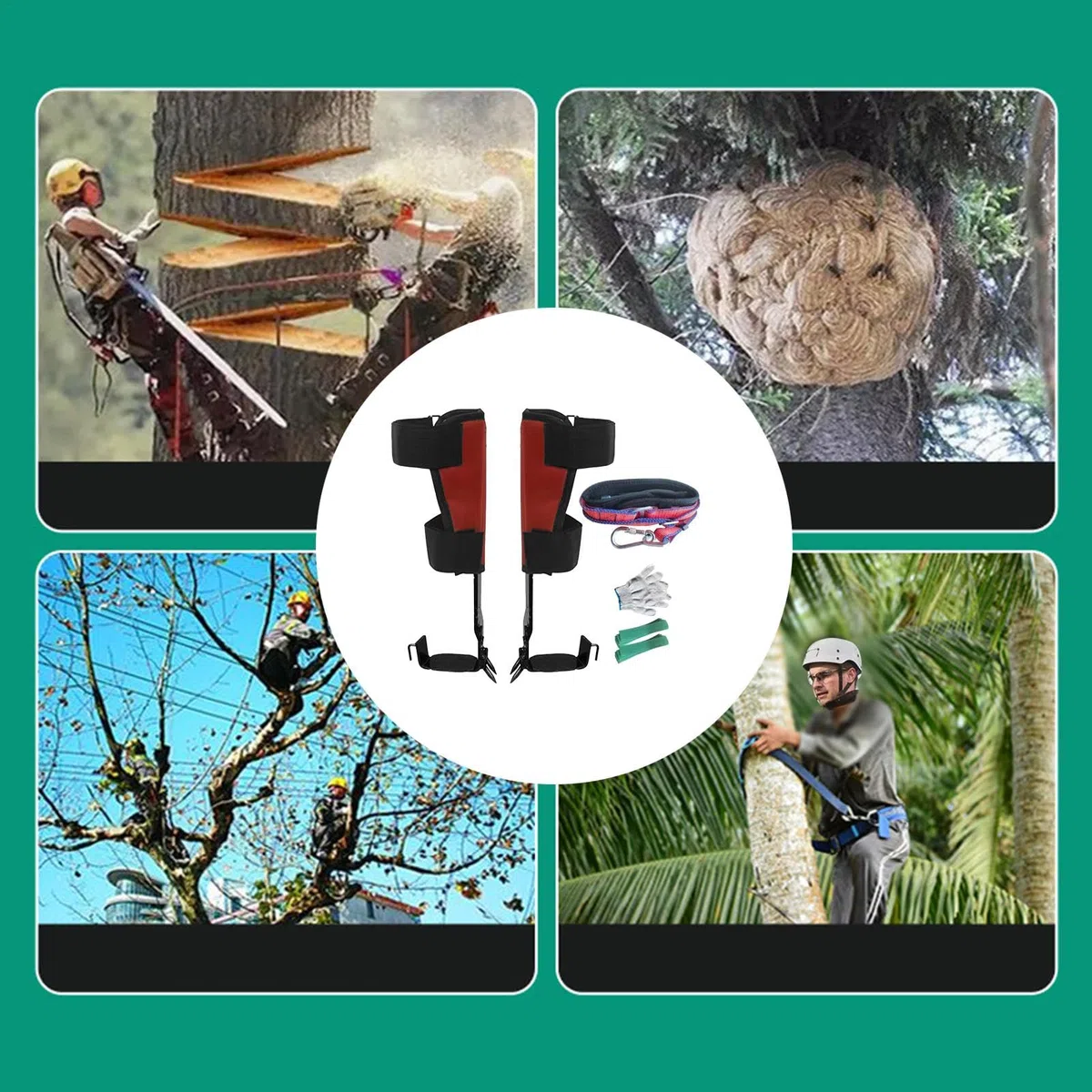 Juego de púas para trepar árboles - Herramienta de acero para trepar árboles | para trepar árboles con correa | Picos de árbol ajustables para equipo de escalada con guantes | Postes de escalada