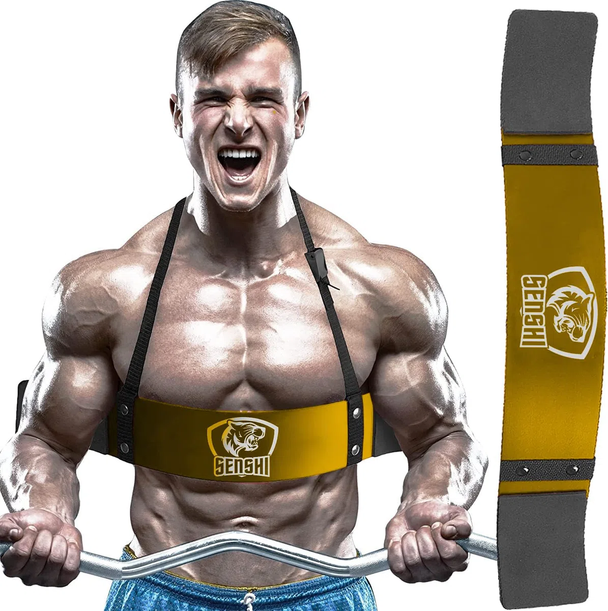 Senshi Japan - Aislador de bíceps para bíceps más grandes, bíceps de alta calidad para barras de rizado, bombardero de bíceps para entrenamiento pesado y levantamiento de pesas, transforma tus rizos de bíceps