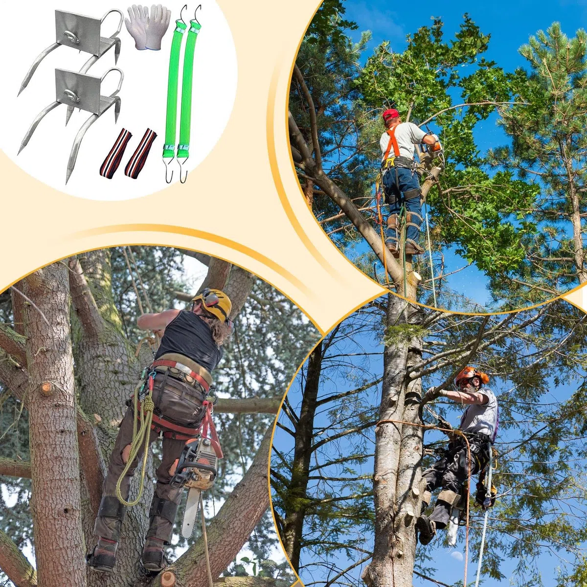 Pinchos para trepar árboles, Equipo de Escalada de árboles, Zapatos para Garras de Gato, Equipo Antideslizante portátil para podadores de árboles