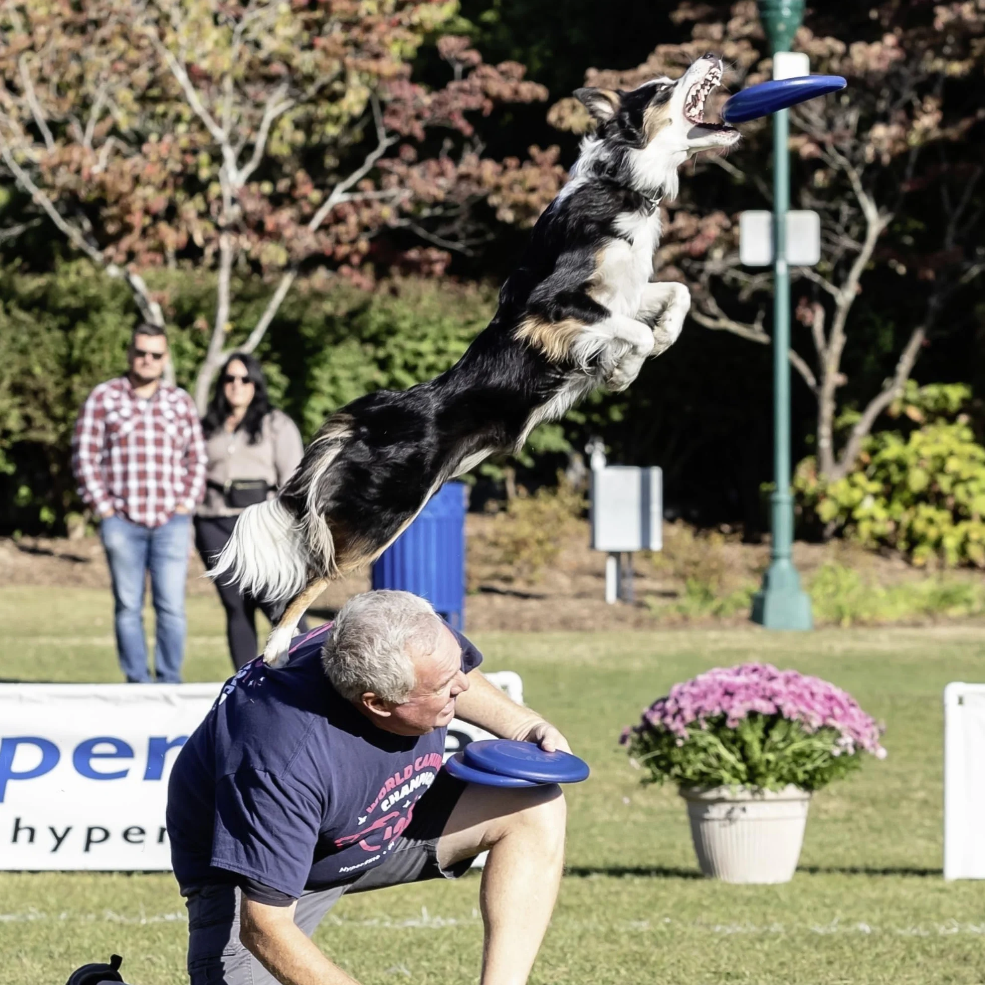 Hyperflite Disco volador K-10 Jawz Dog • Disco volador canino más resistente del mundo aprobado por la competencia • El mejor disco volador de competición para mascotas • Resistente a pinchazos • 8.75