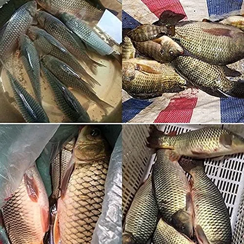 CañAs De Pescar Rio Cañas de Pescar telescópicas de Fibra de Carbono Poste de Mano 2. 7M3.6M3.9M4.5M6.3M7.2M8M9M10M Corriente de Carpa de Agua Dulce Canna Da Pesca Fissa
