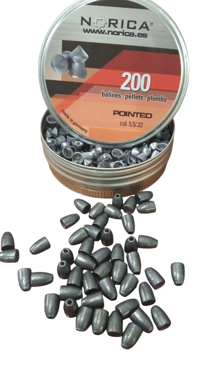 Test - Pack de Perdigones 5.5mm (.22) Pointed (200 ud) para Aire Comprimido + Muestra de Regalo 50 Proyectiles Slug Premium 5,5mm, Balines de Precisión para Carabina PCP y CO2