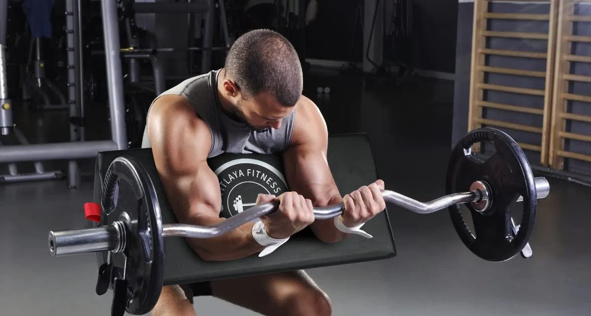 Fitlaya Fitness Predicador Curl Pad Barbell & Mancuerna Soporte de bíceps Curl Aislador Equipo de Gimnasio en Casa para Culturismo de brazos