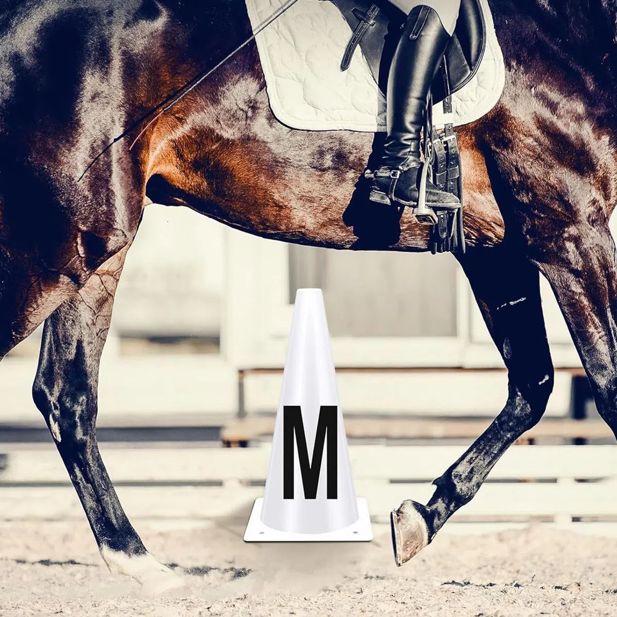 Conos de con Letras – 23 x 14 cm, marcadores Deportivos de | Marcadores de Equipo de Entrenamiento de Caballos de competición, Conos con Letras para Atletas ecuestres, Uso en competiciones