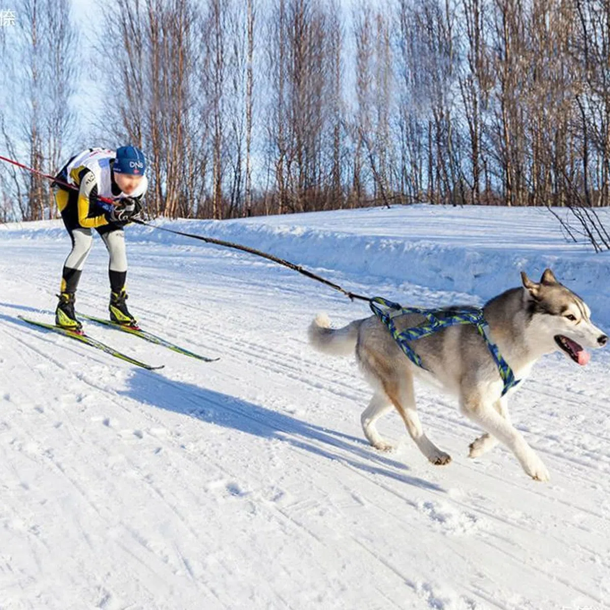 Arnés de trineo de perros cómodo arnés de pernése de trineo de trineo ajustable con tira reflectante Arnés de trineo de perros transpirable para tirar de ocho arnés de tirar para perros medianos arne