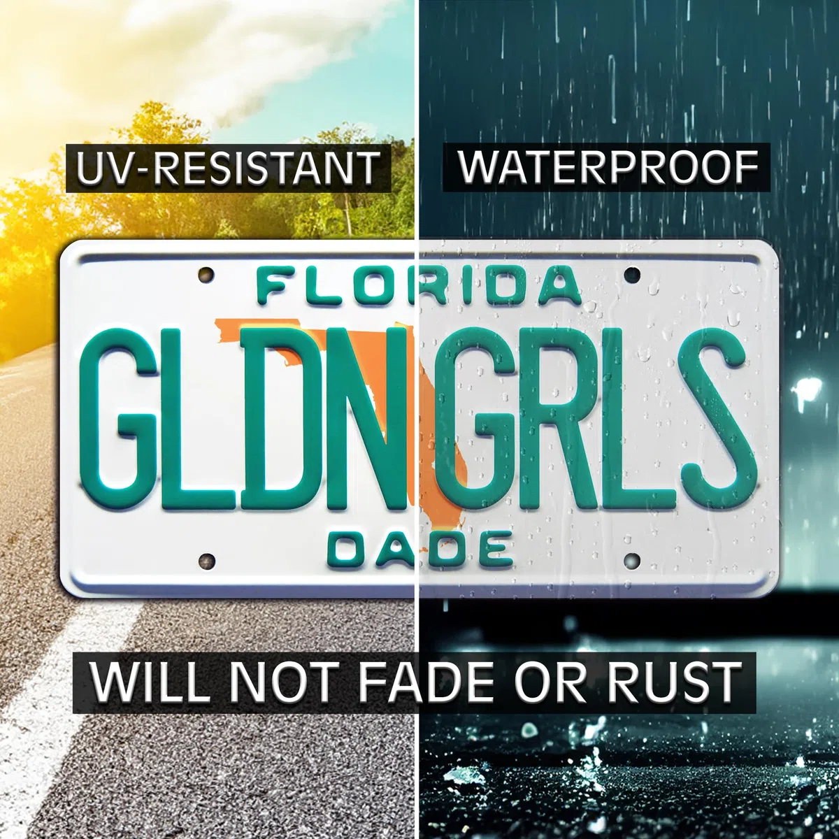 The Golden Girls | Florida | Placa de matrícula con sello de metal