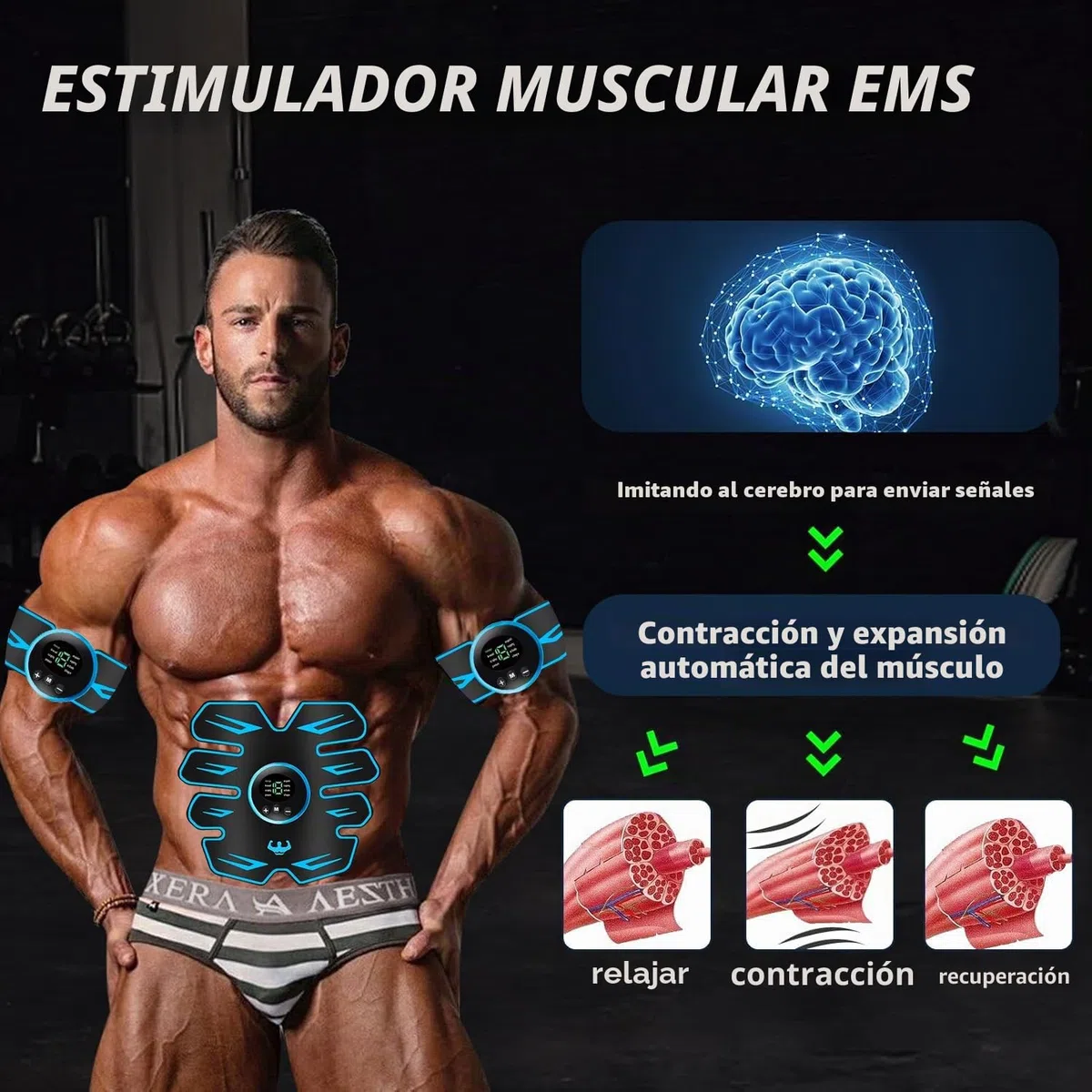 AILEDA Electroestimulador Muscular,EMS Estimulación focalizada de los Abdominales,8 Modos y 19 Intensidades,para la construcción de músculo,Tactical Electroestimulador Cuerpo Interior y exterior